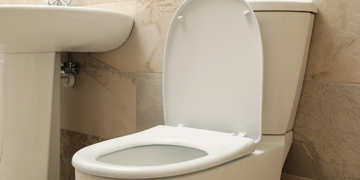 Why Is My Toilet Making Noise? Rainforest Plumbing & Air